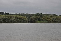 svrt006.jpg