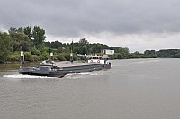 svrt037.jpg